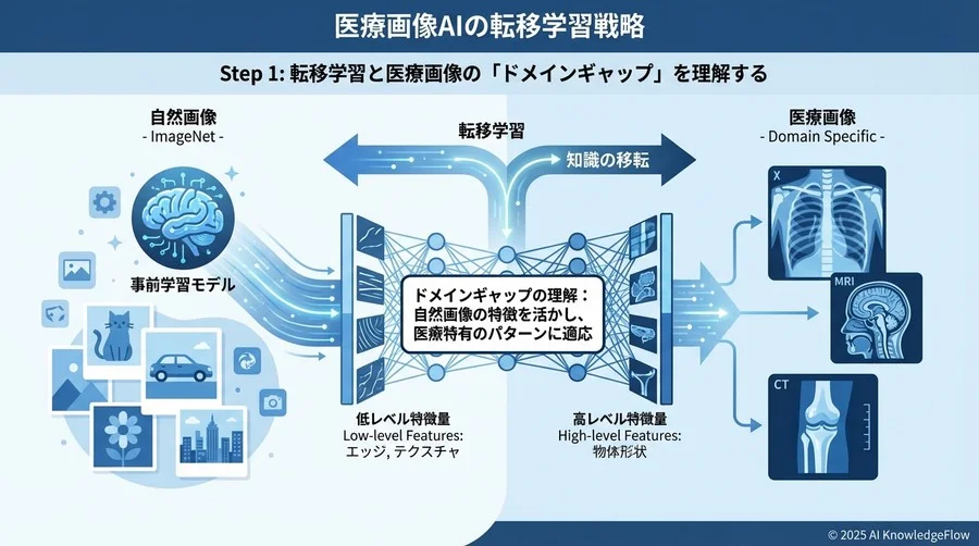 Step 1：転移学習と医療画像の「ドメインギャップ」を理解する - Section Image